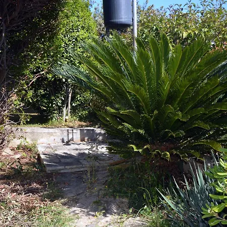 Sunny Cottage Petrcane
